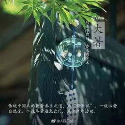 日课大暑莲叶无穷碧,荷花别样红