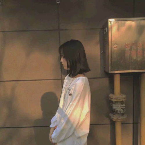 适合qq空间置顶的英文温柔仙句,度娘都搜不到,小仙女拿去撩