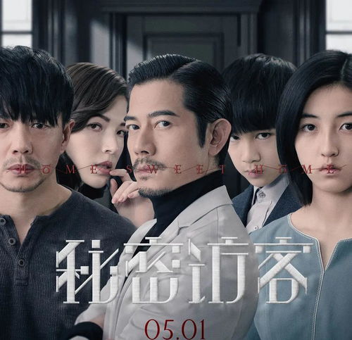 张子枫秘密访客口碑不俗,全员演技在线,首映票房居榜单第二