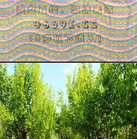 如果在快手举报直播美女啊,他们会怎么罚他啊