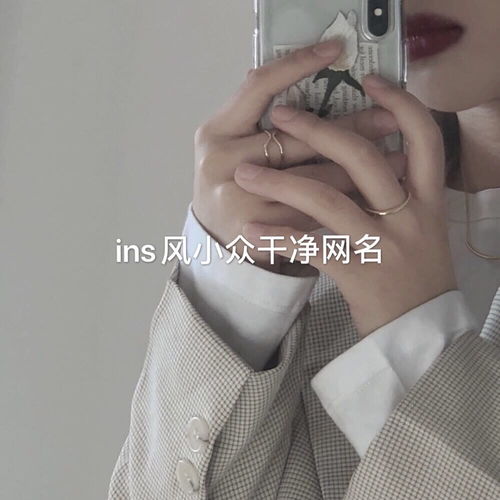 风会吹散不开心的无风格小众网名