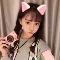 偷了月亮的猫照片偷了月亮的猫相册大全yy官方
