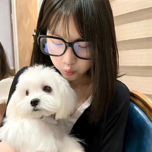 适合女生长期不换的微信头像