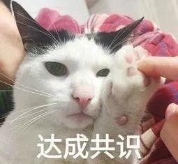猫咪突然不在猫砂盆里大小便了,这是怎么回事