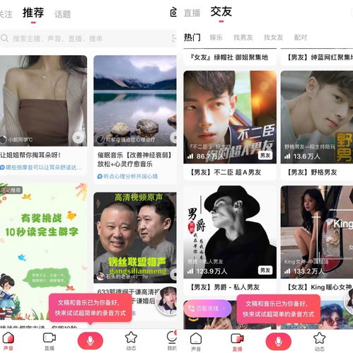 变现社交电商,抖音都想通过语音直播实现