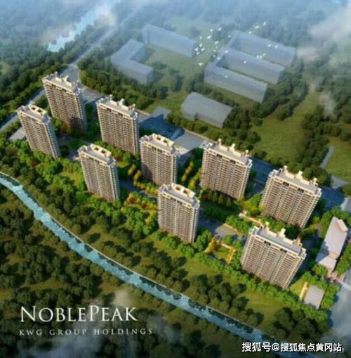 合景尚峰复式户型通透布局清晰实用