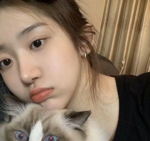 那些温柔的抱猫女生头像,预祝你我有数不尽的鲜花和浪漫