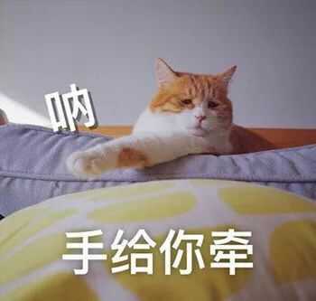 抖音撩人套路汇总抖音撩妹技巧30条抖音撩人聊天对话方式大全游戏吧