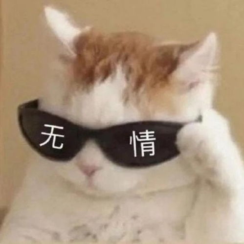 稳居朋友圈c位的沙雕文案