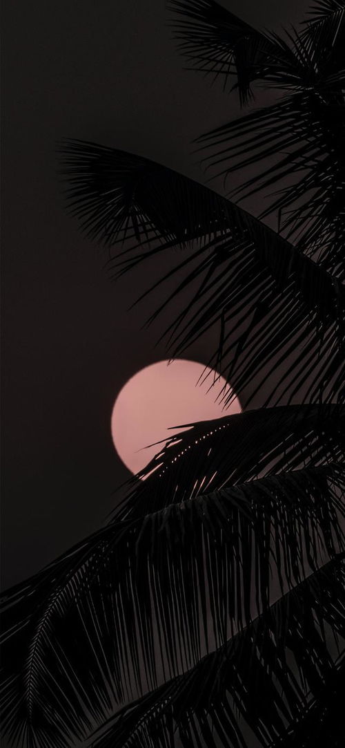 治愈系风景壁纸ins高级质感