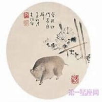 属猪微信吉祥头像图片微信头像图片大全