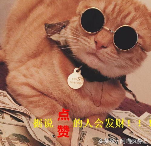 讽刺还有这么多绝美风景将被游客毁掉,菲律宾长滩岛只是第一个