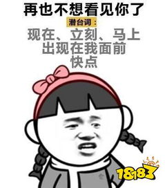 女生的潜台词表情包