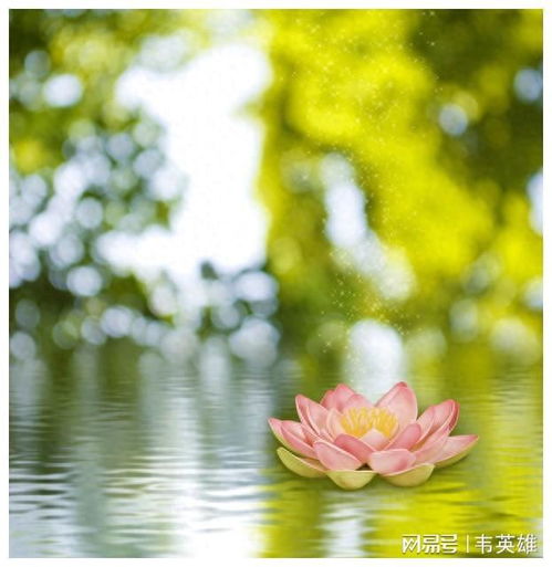 祝您远离霉运,好运连连,事事如意,事业有成梦想感情方面运程网易订阅