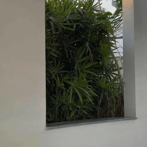 朋友圈背景图走起