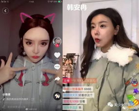 网红真面目鱼没放少女变大妈,辣眼睛