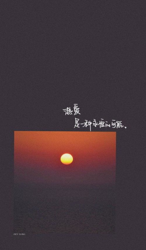 全网超火超好看的文字背景图壁纸