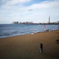西海岸头像西海岸风格头像