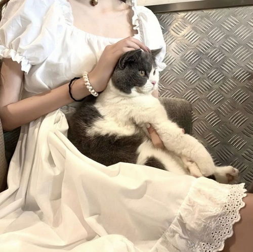 优质精选小众温柔甜美女生头像80