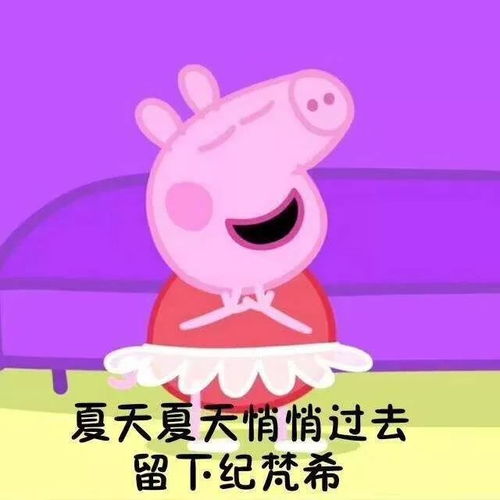 小猪佩奇不差钱的中产时尚女孩八公举