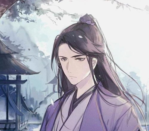 快手头像男高清魏无羡