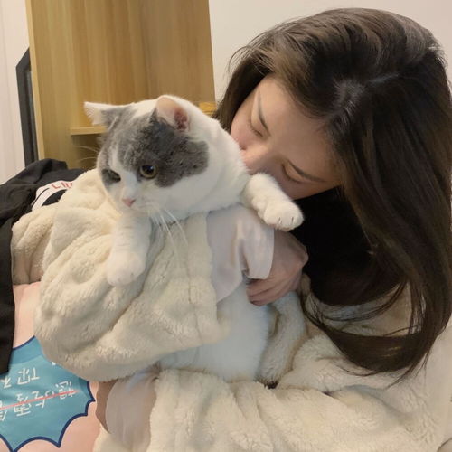 猫猫头像ins高级质感女头