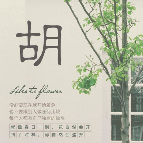 换一个姓氏微信头像吧,招财进宝,万事如意,好看签名头像请带走