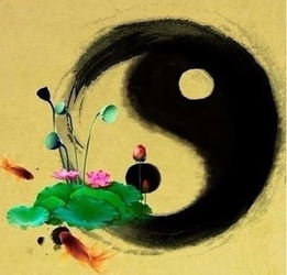女人脸上有这四颗痣能招财能旺夫,衣食无忧不缺钱