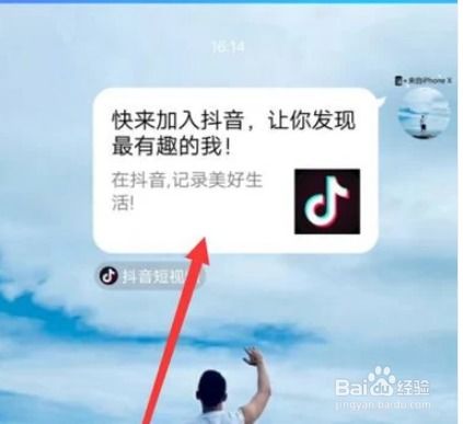 抖音短视频的主页链接主页id怎么看