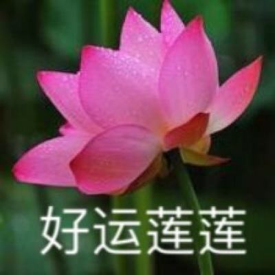大众彩票224下载链接