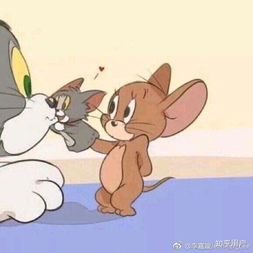 猫咪头像ins高级质感猫和老鼠