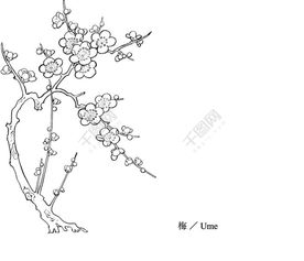 微信头像花张梅花