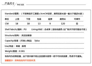 纪蔻高级感包包洋气质感单肩包2019新款潮chic链条包斜挎包女百搭ins