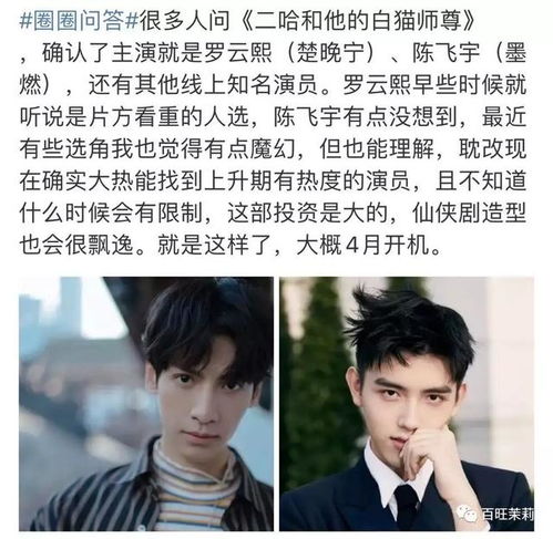 陈飞宇罗云熙组cp他们能成为下一个肖战王一博吗
