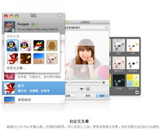 macqq2463版本下载20110928更新