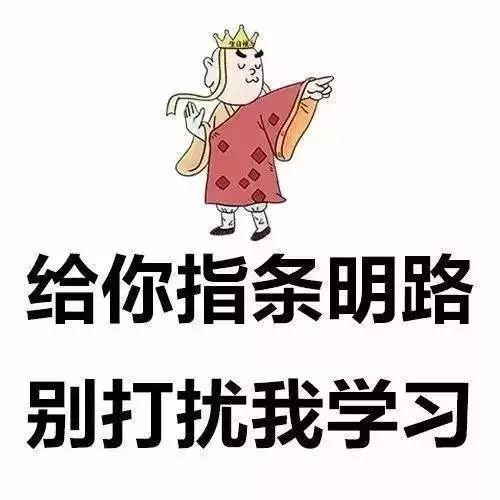 有哪些特别适合作头像的图片