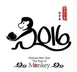 我有一个快手的链接,可是作品被删除了,我怎么找到这个人的快手id