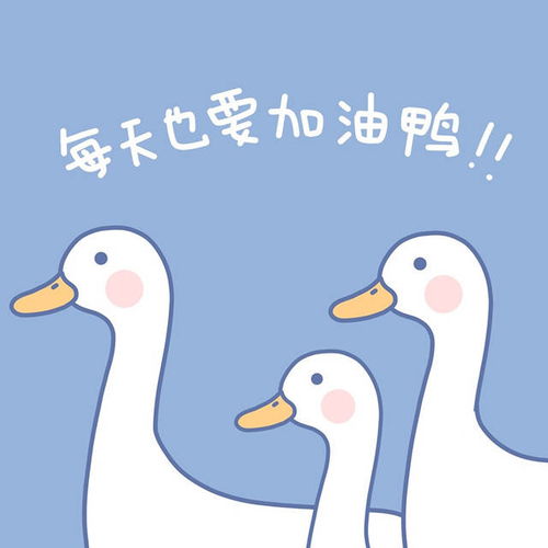 早安心语,元气满满开启新一天