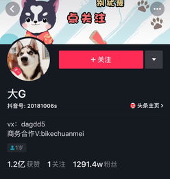 抖音吸粉大号养成记快速吸粉他们是这么做的