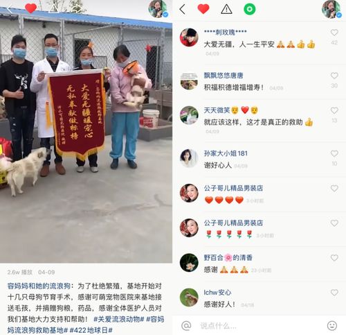 快手12动物天团世界地球日出道系列直播带你看见每一种生命