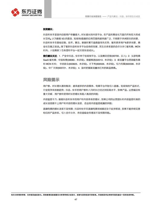 短视频与算法抖音快手的生态成因附下载