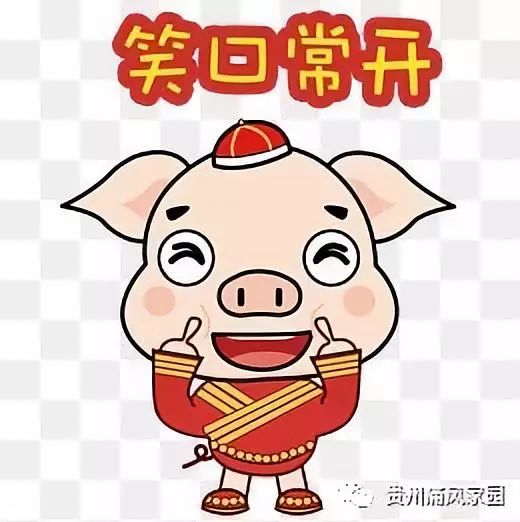 贵州中医药大学第二附属医院风湿免疫科全体医护人员提前祝朋友们新春快乐