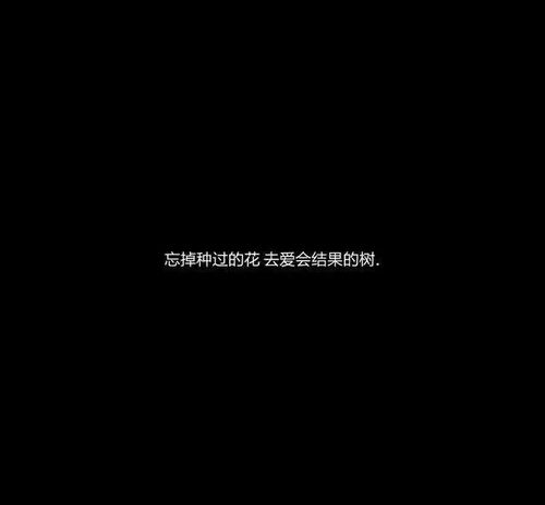ins风朋友圈背景图,超级治愈