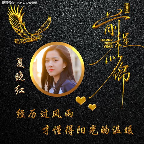 纯金质感姓氏照片头像,高端商务打造,让你的形象提升一个档次