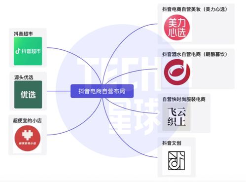 找到增长新密码了抖音电商7大自营业务集体亮相