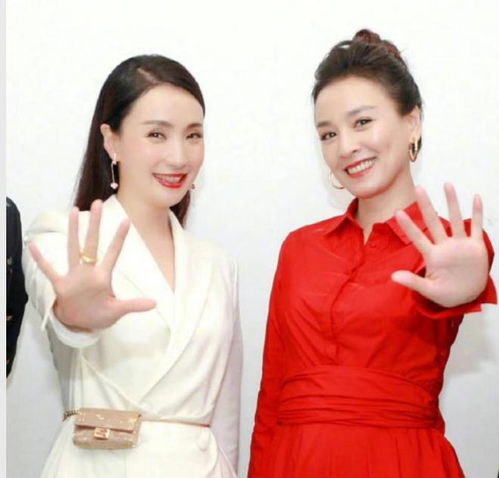 张庭陶虹听证会召开,聘请约30名律师一起到场