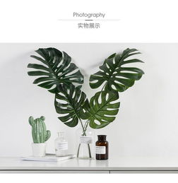 ins仿真叶植物装饰品摆件北欧绿植假花龟背叶龟背竹叶子摄影道具