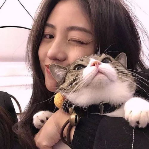 头像当我热情耗尽你就是陌生人