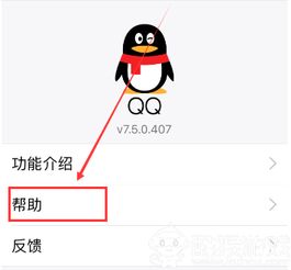 手机qq2019版