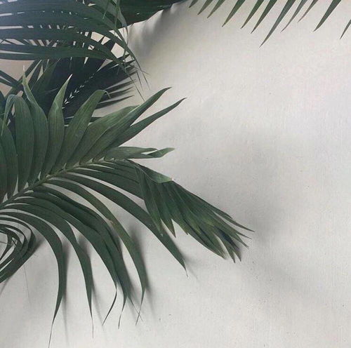 ins简笔画头像背景